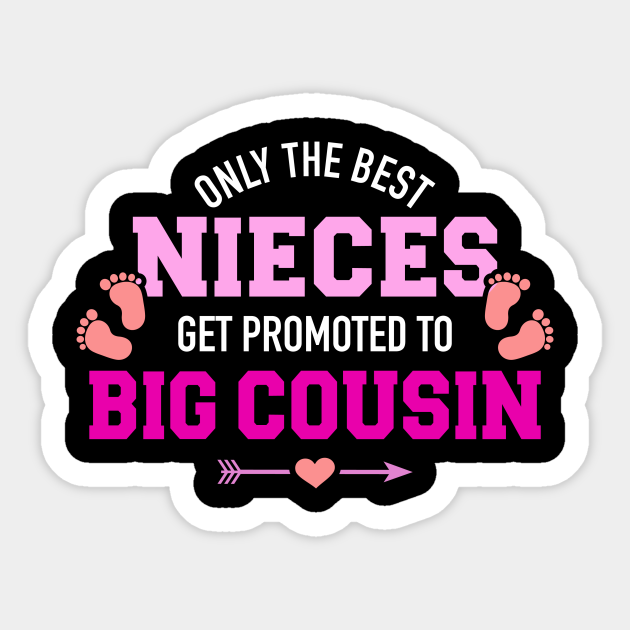 Only The Best Nieces Get Promoted To Big Cousin Big Cousin Sticker